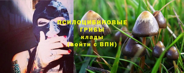 круглые Алексин