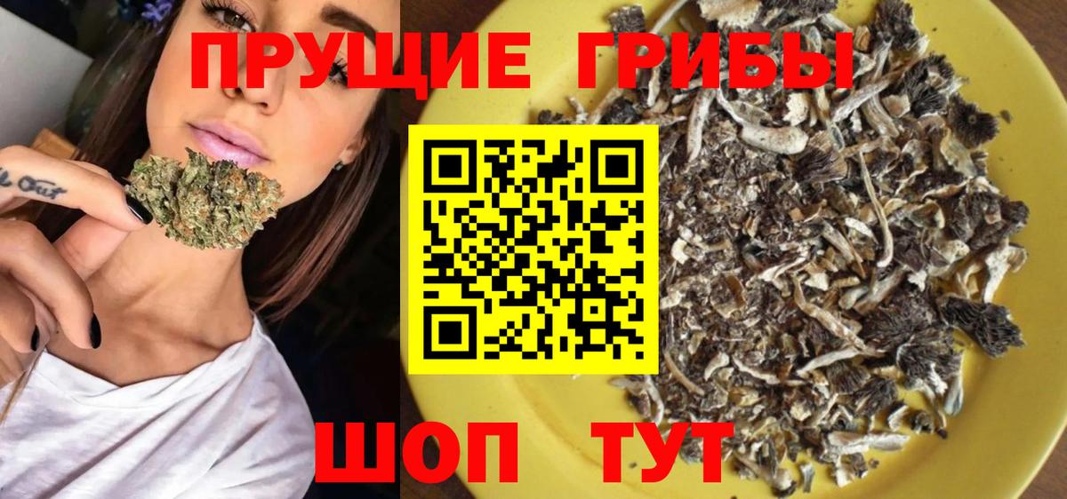 Псилоцибиновые грибы Cubensis  купить наркотик  Кохма  Вход с VPN  Псилоцибиновые грибы Psilocybine cubensis 