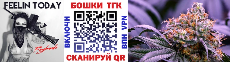 где купить наркоту  Кохма  даркнет телеграм  МАРИХУАНА план 