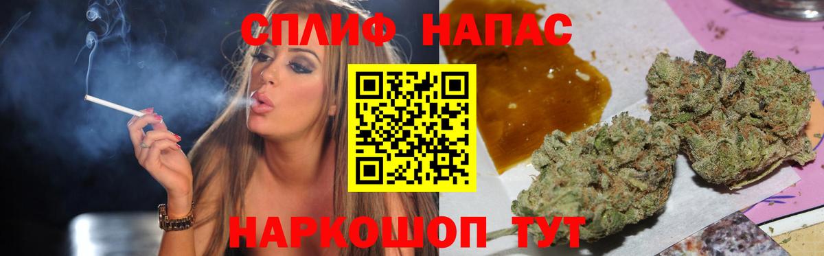 Каннабис план Кохма